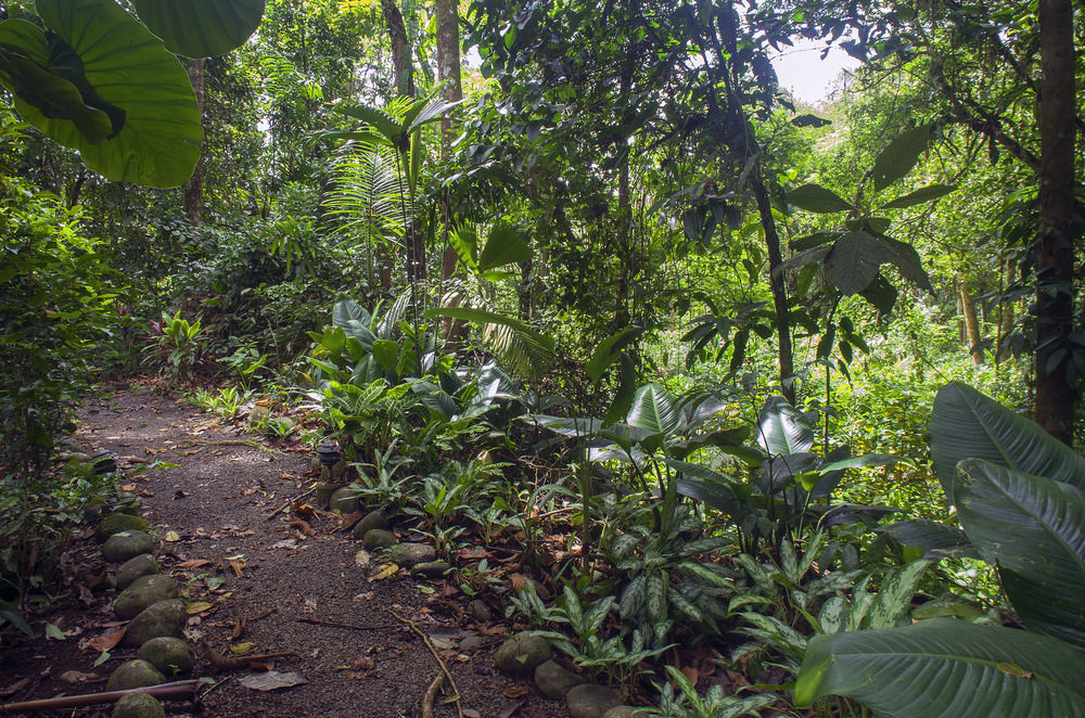 Selva Verde Lodge Sarapiquí Exterior foto