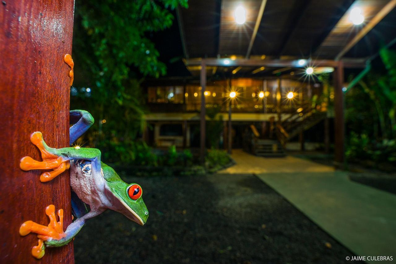 Selva Verde Lodge Sarapiquí Exterior foto